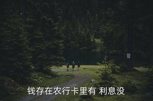 农业银行怎么存有利息,20万存农业银行一年利息是多少