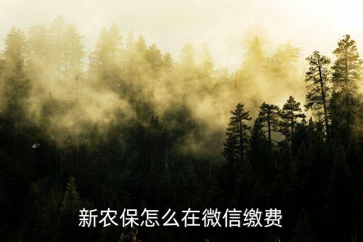 农村有农业保险吗怎么交,手机上怎么交农业保险
