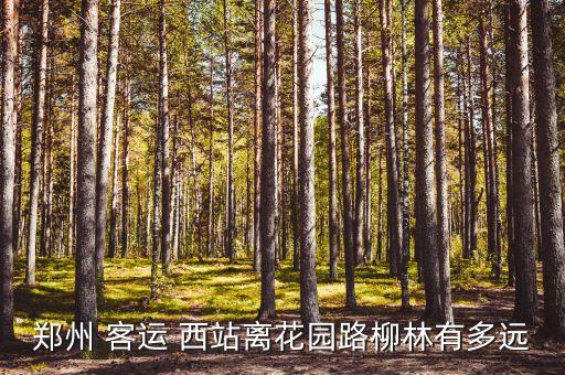 客运西站到农业路站怎么走