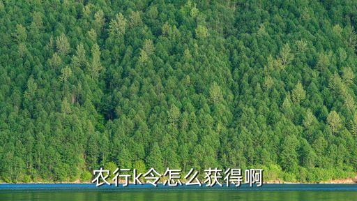 动态口令农业银行怎么获取,农业银行转账动态口令是什么