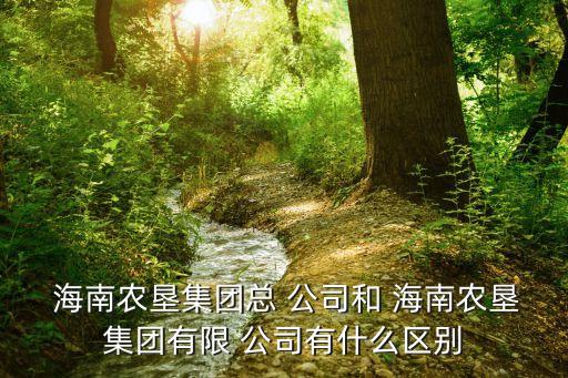 海南农业公司怎么运作,海南最大的农业公司