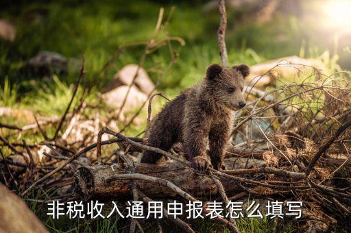 征收品目怎么填农业农村局