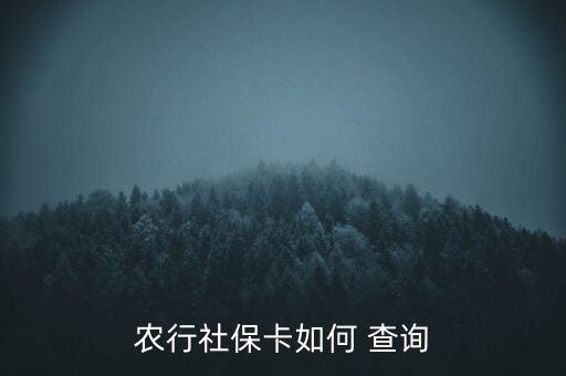 农业银行医保账户怎么查询