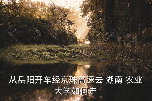 湖南农业大学怎么走,到湖南农业大学走哪个门进去