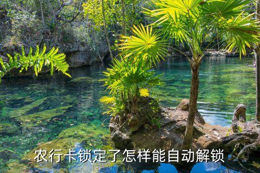 农业银行卡被锁了怎么开,网上怎么开农业银行卡