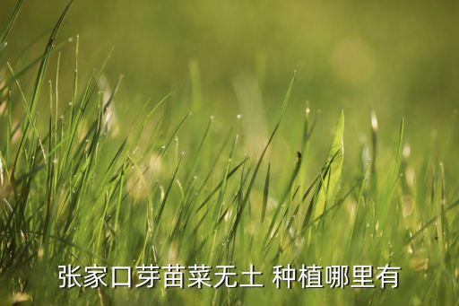 阿辉农业种植基地怎么样