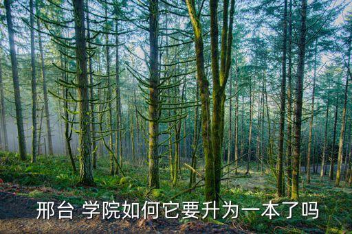 邢台农业学院怎么样,邢台颜创美妆学院怎么样