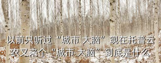 怎么用阿里云农业大脑,阿里云ET农业大脑