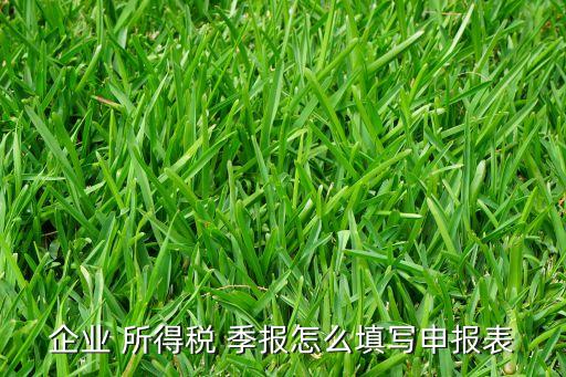 农业公司所得税季报怎么填