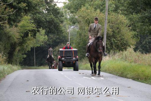 手机农业企业怎么登录网银