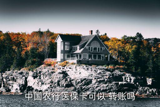 农业银行报销款怎么转账,中国农业银行如何转账
