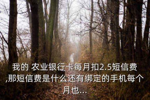 农业银行怎么还扣3元费用