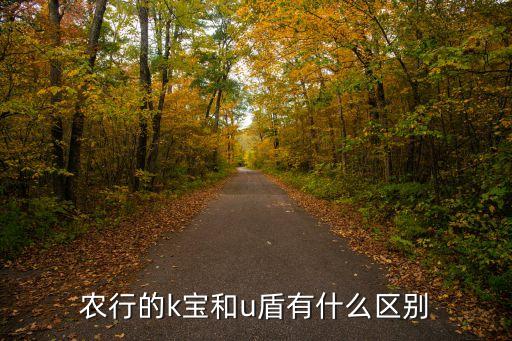 农业银行的udun怎么用