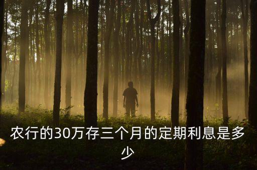 农业银行30万怎么理财