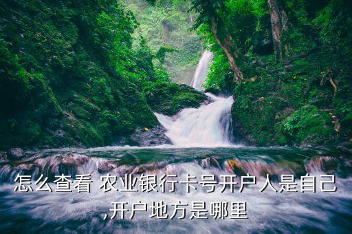 农业银行用户怎么查询办理,如何查询农业银行信用卡办理进度