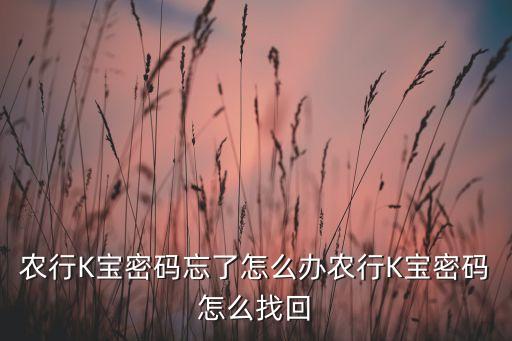 农业银行k宝忘了怎么修改
