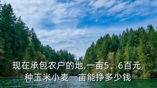 农业包地怎么样,武汉市农业学校怎么样