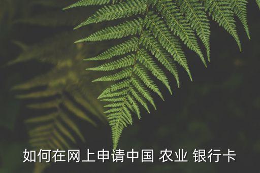 怎么办理农业银行卡储蓄卡,农业银行卡是储蓄卡还是信用卡