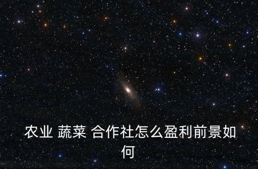 农业蔬菜合作社是什么意思,一般纳税人从农业合作社购进蔬菜