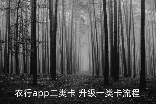 农业银行怎么实名升级,农行信用卡怎么实名认证