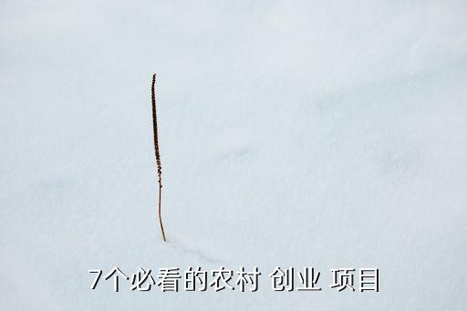 农业创业项目简介怎么写,大学生创新创业项目简介怎么写100字