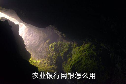 农业银行u盾怎么授权