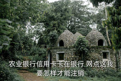 农业银行怎么取消网点业务,怎么取消农行手机银行业务