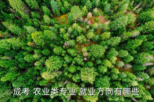本科农业怎么就业,本科残疾人怎么就业