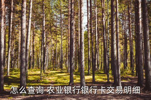 农业银行中奖记录怎么查,手机怎么查农业银行存款记录