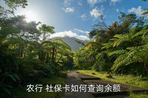 农业银行怎么看交了社保,在农业银行交社保怎么交不上