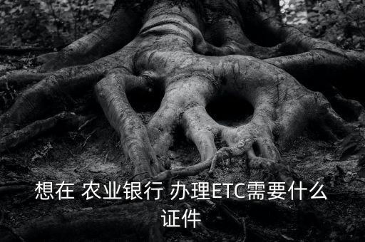 农业etc储蓄卡怎么办理,etc办理用信用卡和储蓄卡哪个好