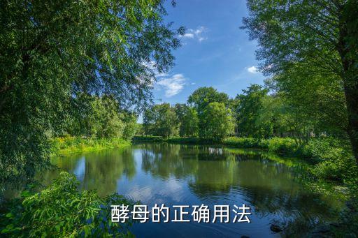 酵母在农业怎么巧妙使用,怎样使用干酵母浇菜