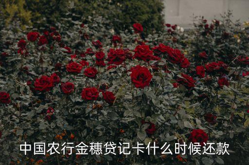 农业银行结账日期怎么查询