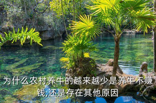 农业回报率低怎么办啊,风险资本回报率 低怎么办