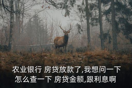农业银行怎么查看房贷明细,怎么查农行房贷记录