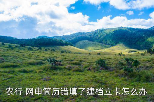 农业银行网申撤销怎么弄