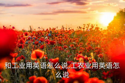 农业和工业用英语怎么说,工农业用英语怎么说