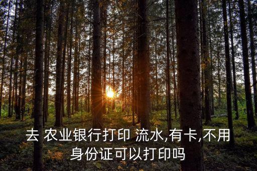 农业银行怎么打流水纸质版,农行卡怎么打流水