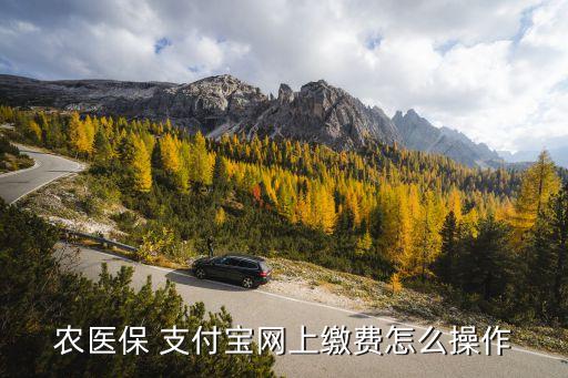 支付宝农业保险怎么交,江西农业保险怎么交