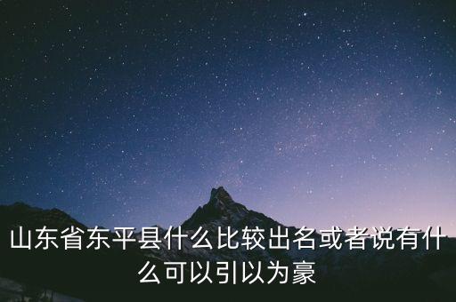 山东省东平县什么比较出名或者说有什么可以引以为豪