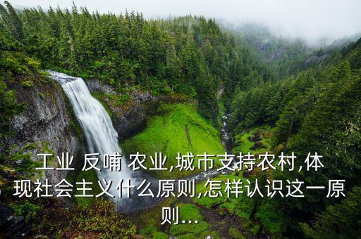 反哺农业怎么做,工业反哺农业