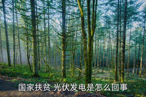 农业光伏电站是干什么的,修文县谷堡农业光伏电站项目