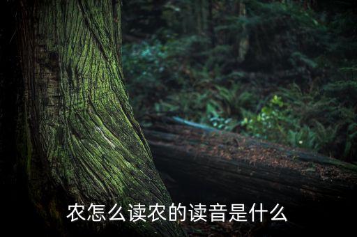 农业的拼音怎么写的拼音,人声鼎沸的拼音怎么写的拼音