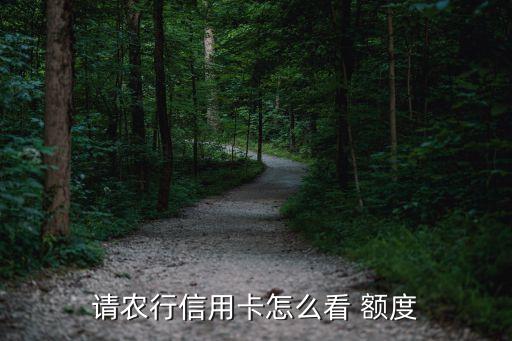 农业卡怎么查询额度,农业app怎么查询额度