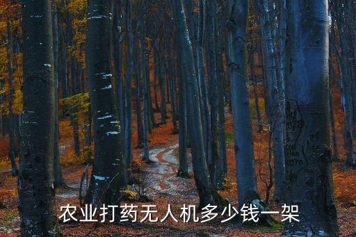  农业打药无人机多少钱一架