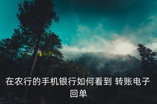 在农行的手机银行如何看到 转账电子回单