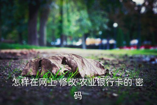 农业银行怎么修改取现密码