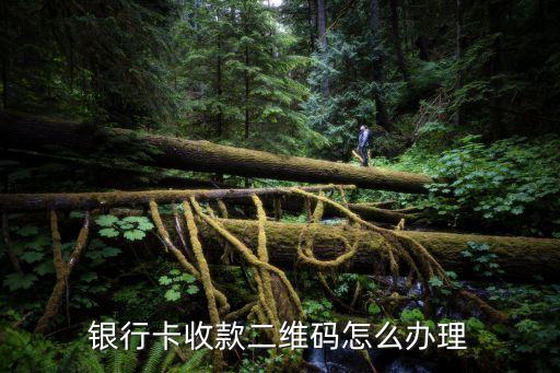银行卡收款二维码怎么办理