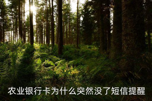  农业银行卡为什么突然没了短信提醒