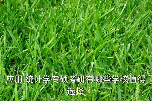 华中农业应用统计怎么样
